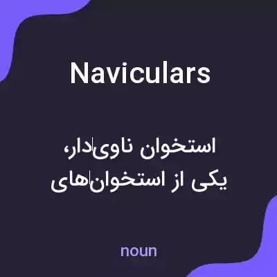 معنی naviculars به فارسی