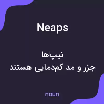 معنی neaps به فارسی معنی neaps به فارسی