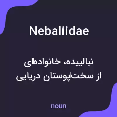 معنی nebaliidae به فارسی