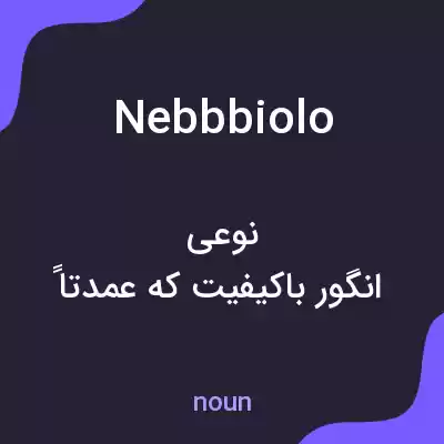معنی nebbbiolo به فارسی معنی nebbbiolo به فارسی