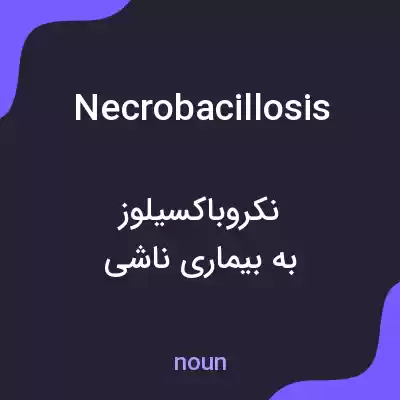 معنی necrobacillosis به فارسی