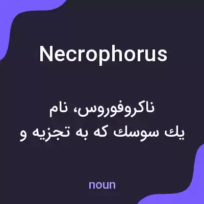 معنی necrophorus به فارسی