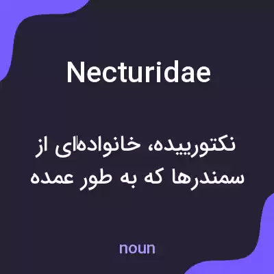 معنی necturidae به فارسی معنی necturidae به فارسی