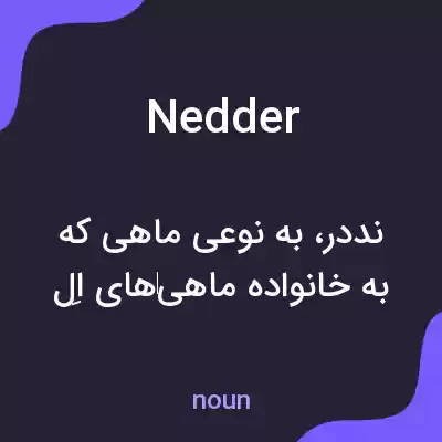 معنی nedder به فارسی معنی nedder به فارسی
