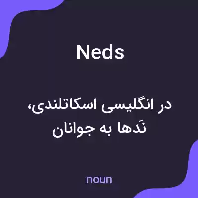 معنی neds به فارسی معنی neds به فارسی