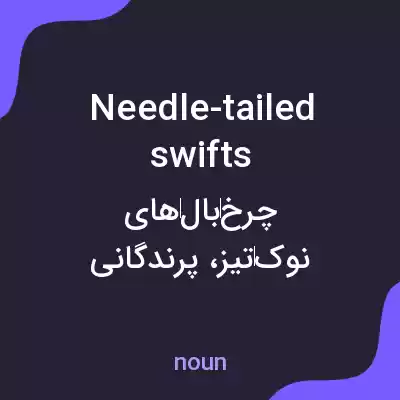 معنی needle-tailed swifts به فارسی معنی needle-tailed swifts به فارسی