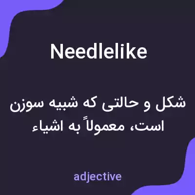 معنی needlelike به فارسی معنی needlelike به فارسی