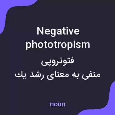 معنی negative phototropism به فارسی معنی negative phototropism به فارسی