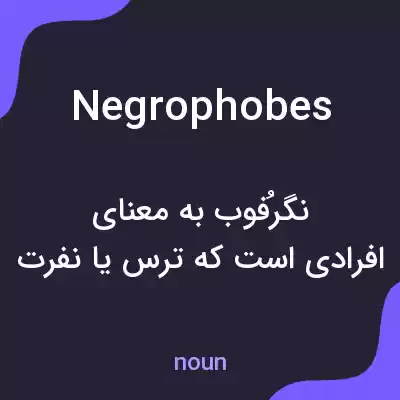 معنی negrophobes به فارسی معنی negrophobes به فارسی
