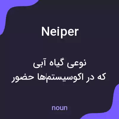 معنی neiper به فارسی