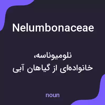 معنی nelumbonaceae به فارسی معنی nelumbonaceae به فارسی
