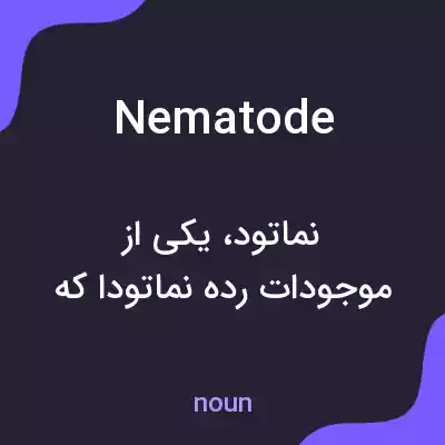 معنی nematode به فارسی معنی nematode به فارسی
