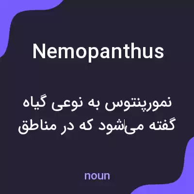 معنی nemopanthus به فارسی معنی nemopanthus به فارسی