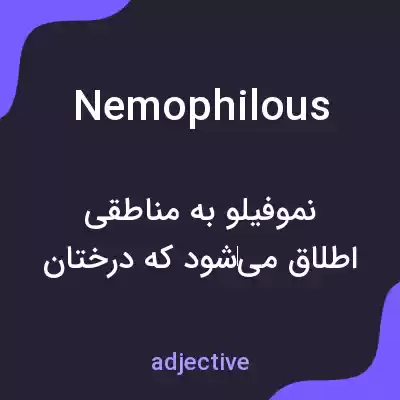 معنی nemophilous به فارسی معنی nemophilous به فارسی