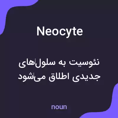 معنی neocyte به فارسی