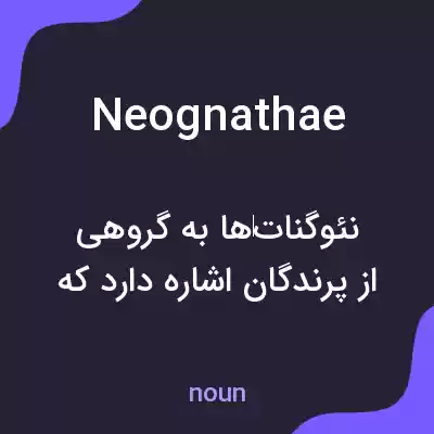 معنی neognathae به فارسی