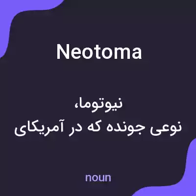 معنی neotoma به فارسی