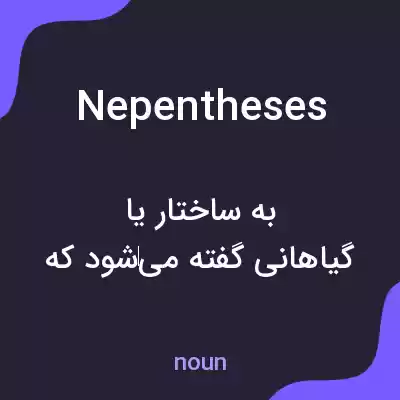 معنی nepentheses به فارسی معنی nepentheses به فارسی