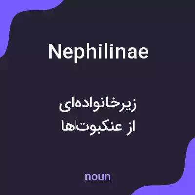 معنی nephilinae به فارسی معنی nephilinae به فارسی
