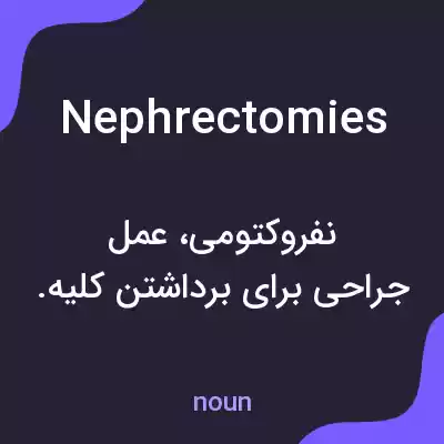 معنی nephrectomies به فارسی