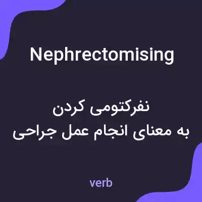 معنی nephrectomising به فارسی معنی nephrectomising به فارسی