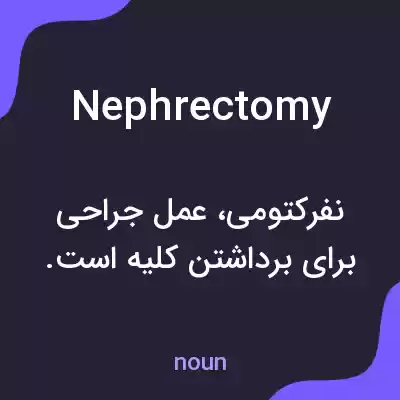 معنی nephrectomy به فارسی معنی nephrectomy به فارسی