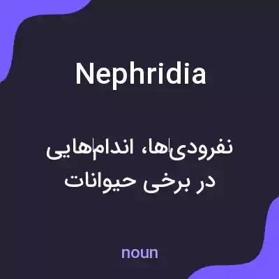 معنی nephridia به فارسی معنی nephridia به فارسی
