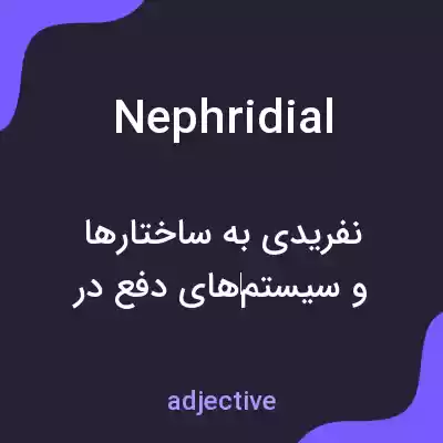 معنی nephridial به فارسی معنی nephridial به فارسی