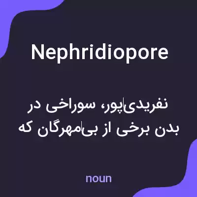 معنی nephridiopore به فارسی معنی nephridiopore به فارسی