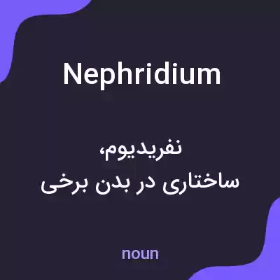 معنی nephridium به فارسی معنی nephridium به فارسی