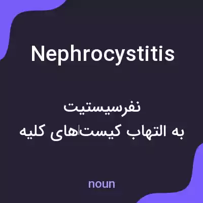 معنی nephrocystitis به فارسی معنی nephrocystitis به فارسی