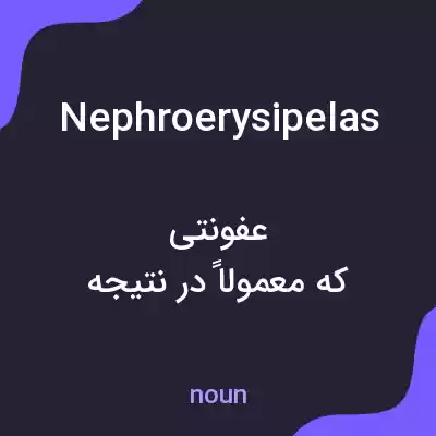 معنی nephroerysipelas به فارسی معنی nephroerysipelas به فارسی