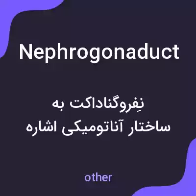 معنی nephrogonaduct به فارسی معنی nephrogonaduct به فارسی