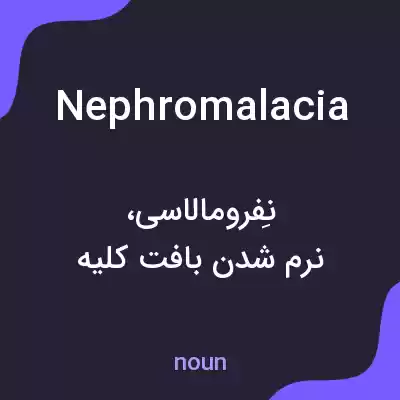 معنی nephromalacia به فارسی معنی nephromalacia به فارسی