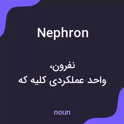 معنی nephron به فارسی معنی nephron به فارسی