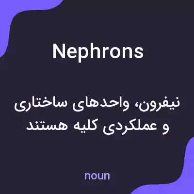 معنی nephrons به فارسی معنی nephrons به فارسی
