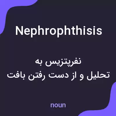 معنی nephrophthisis به فارسی معنی nephrophthisis به فارسی