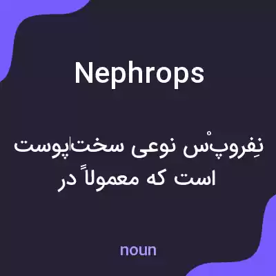معنی nephrops به فارسی معنی nephrops به فارسی