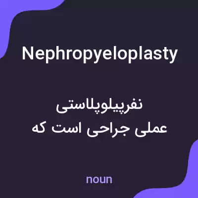 معنی nephropyeloplasty به فارسی معنی nephropyeloplasty به فارسی