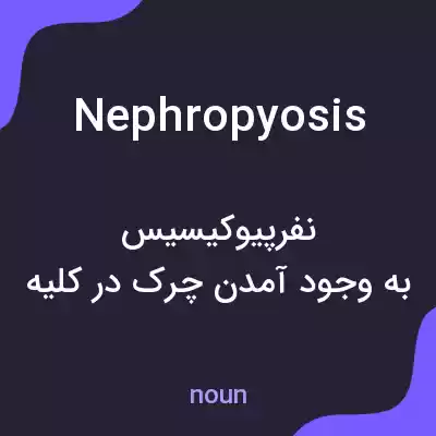 معنی nephropyosis به فارسی معنی nephropyosis به فارسی