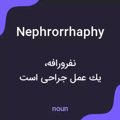 معنی nephrorrhaphy به فارسی معنی nephrorrhaphy به فارسی