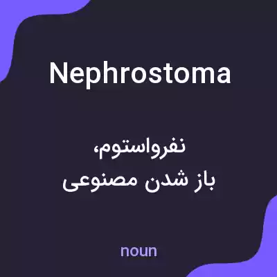 معنی nephrostoma به فارسی معنی nephrostoma به فارسی