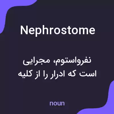 معنی nephrostome به فارسی معنی nephrostome به فارسی