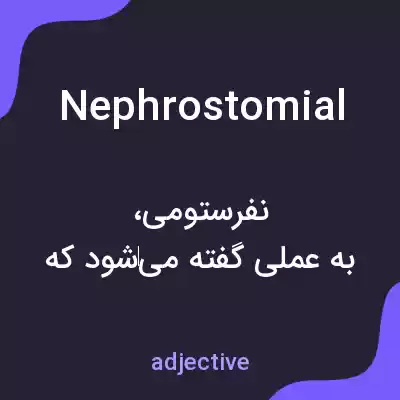 معنی nephrostomial به فارسی معنی nephrostomial به فارسی