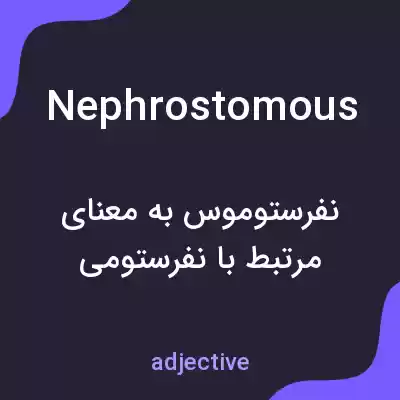 معنی nephrostomous به فارسی معنی nephrostomous به فارسی