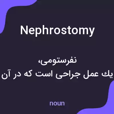 معنی nephrostomy به فارسی معنی nephrostomy به فارسی