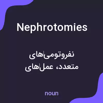 معنی nephrotomies به فارسی معنی nephrotomies به فارسی