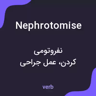 معنی nephrotomise به فارسی معنی nephrotomise به فارسی