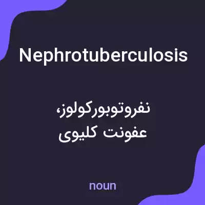 معنی nephrotuberculosis به فارسی