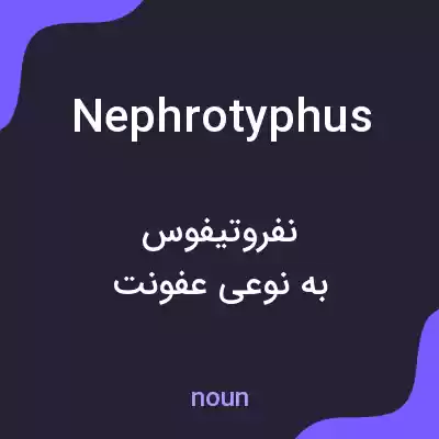 معنی nephrotyphus به فارسی معنی nephrotyphus به فارسی